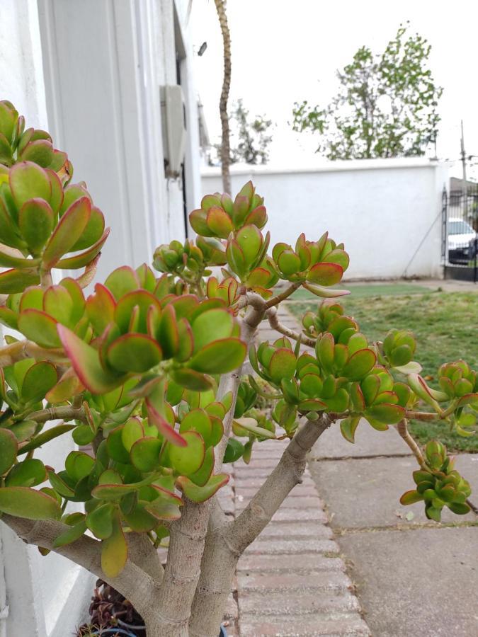 Casona Providencia Apartman Santiago Kültér fotó